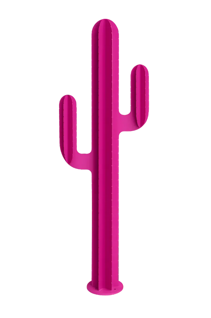 cactus-rose-violet.webp