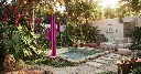cactus-violet.webp