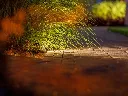 petit-luminaire-pour-jardin.webp