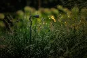 Xible Hi_2.webp