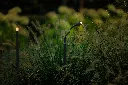 Xible Hi_1.webp