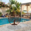 arbre-vie-cohen.webp
